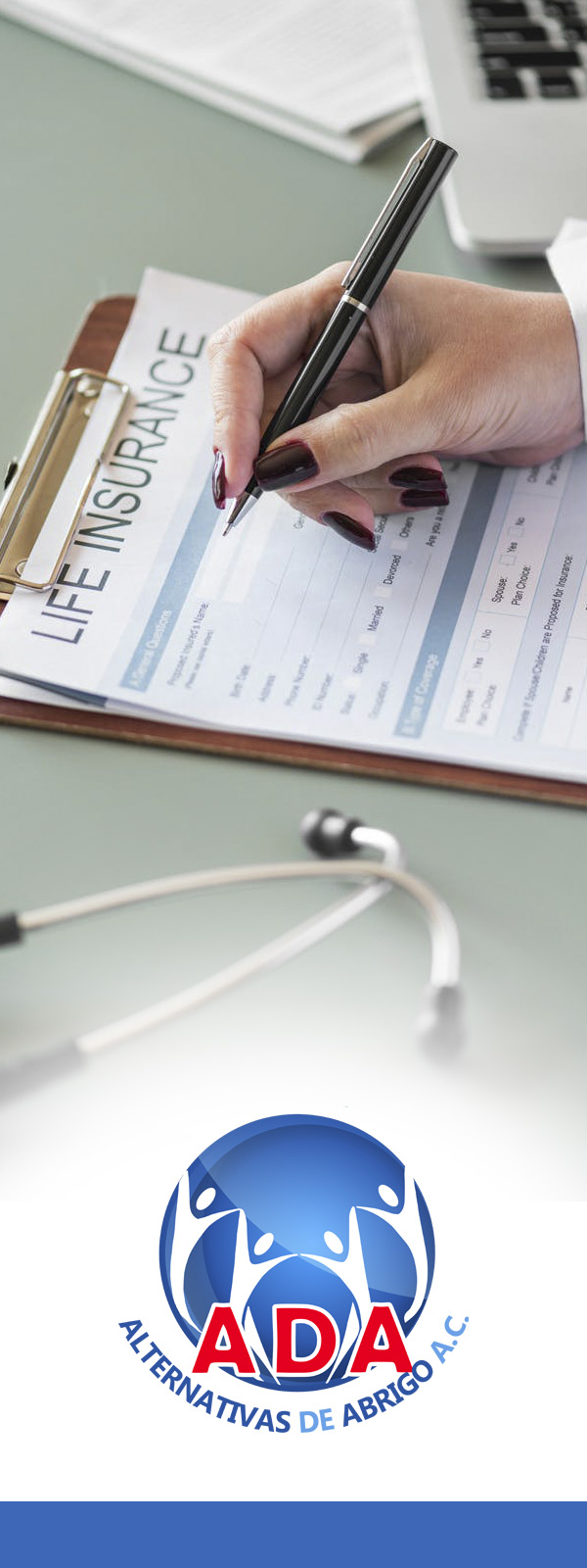 seguros2
